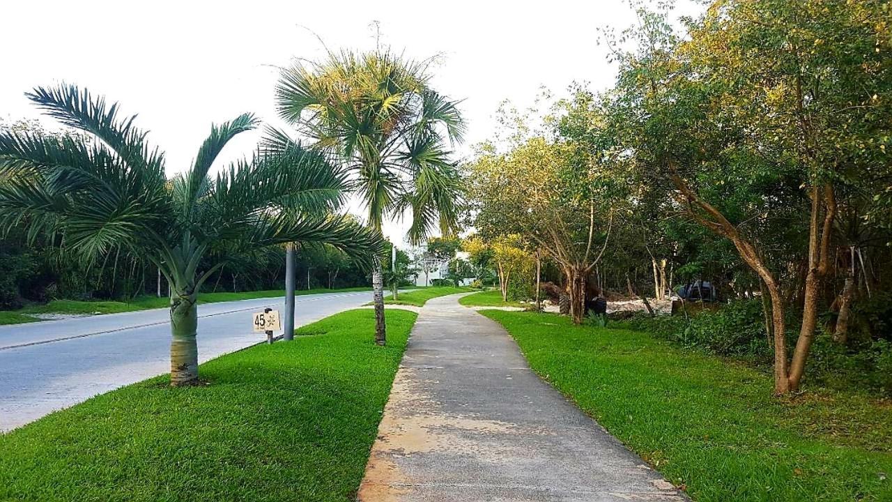 Selvakoba 63 Lejlighed Playa del Carmen Værelse billede